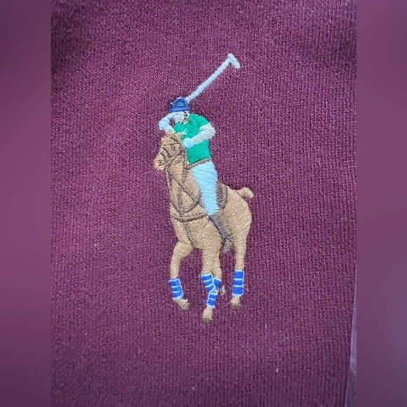 POLO RALPH LAUREN HOODIE - Picture 2 of 5